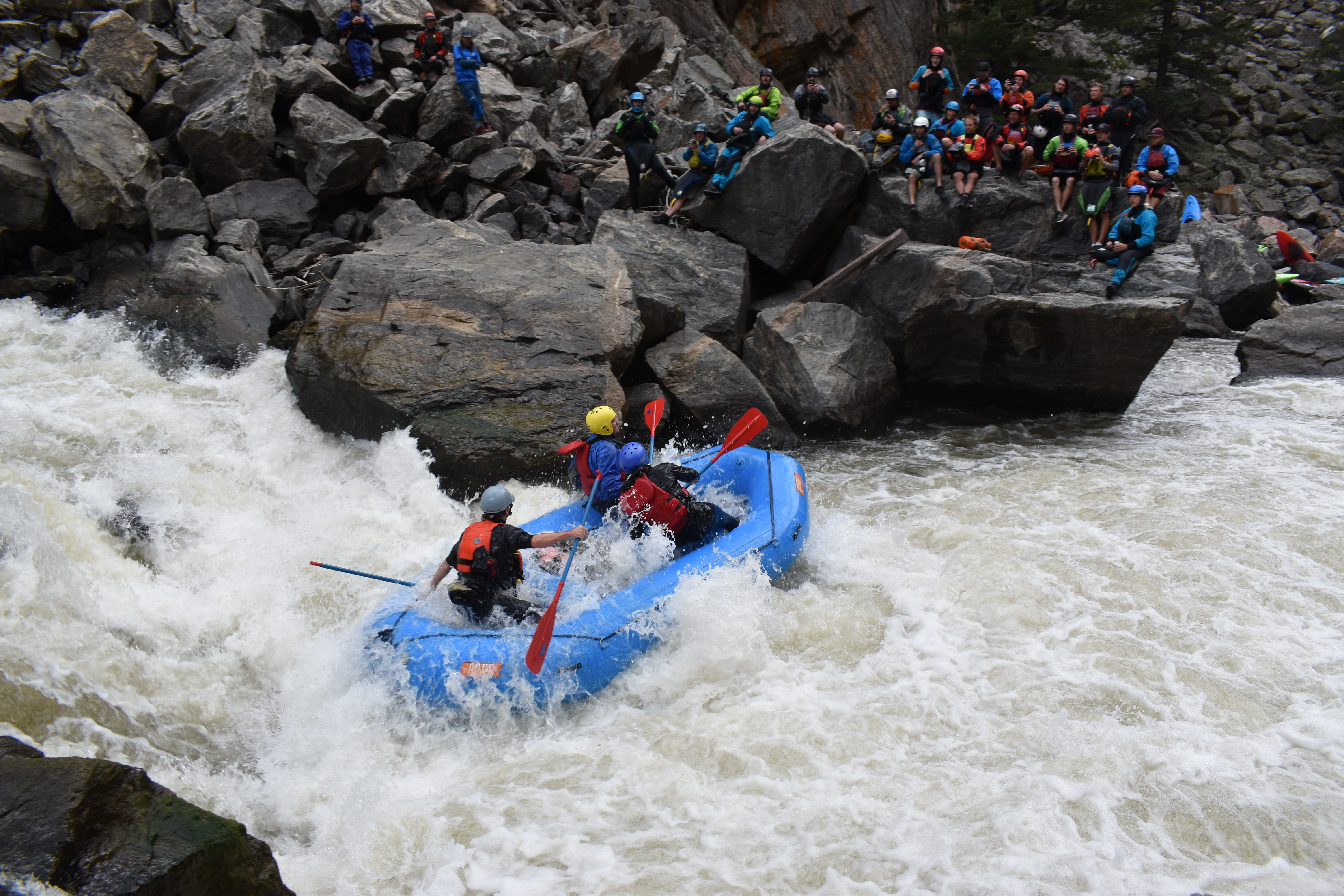 Image for S. Rockies Stewardship Year End Review 2022