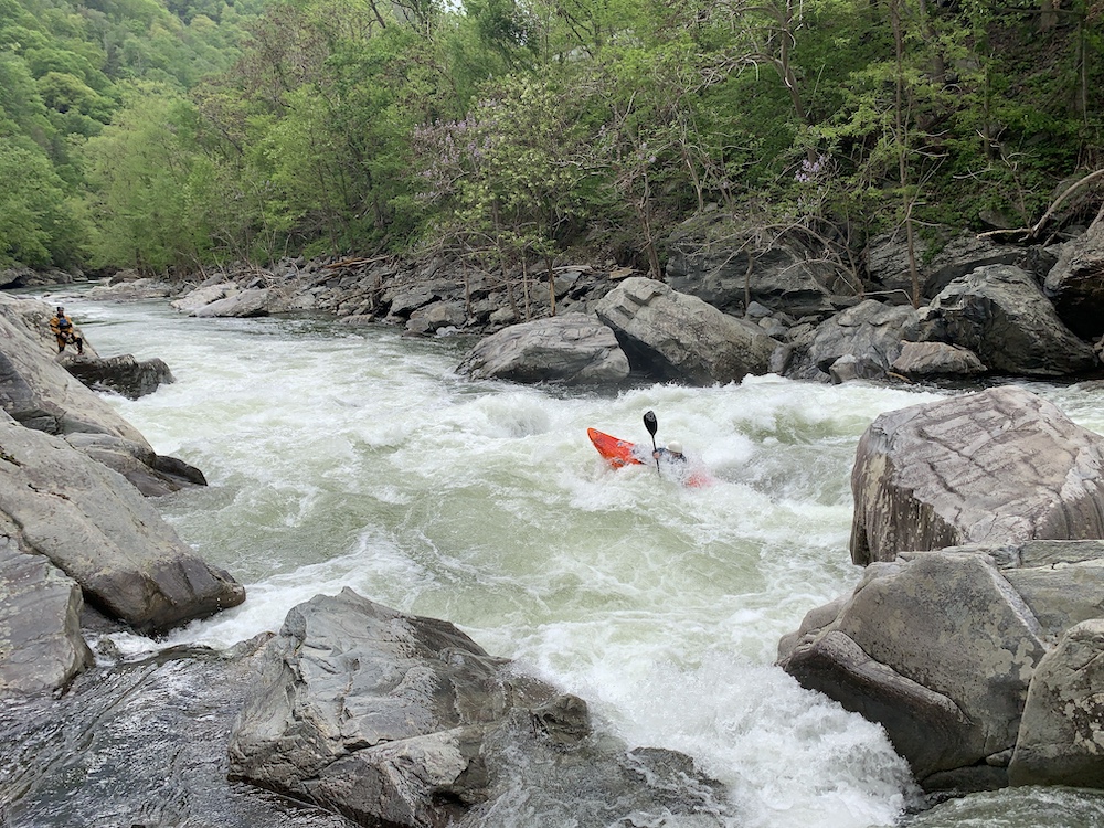 Image for AW Releases Pigeon Dries Flow Survey (NC)