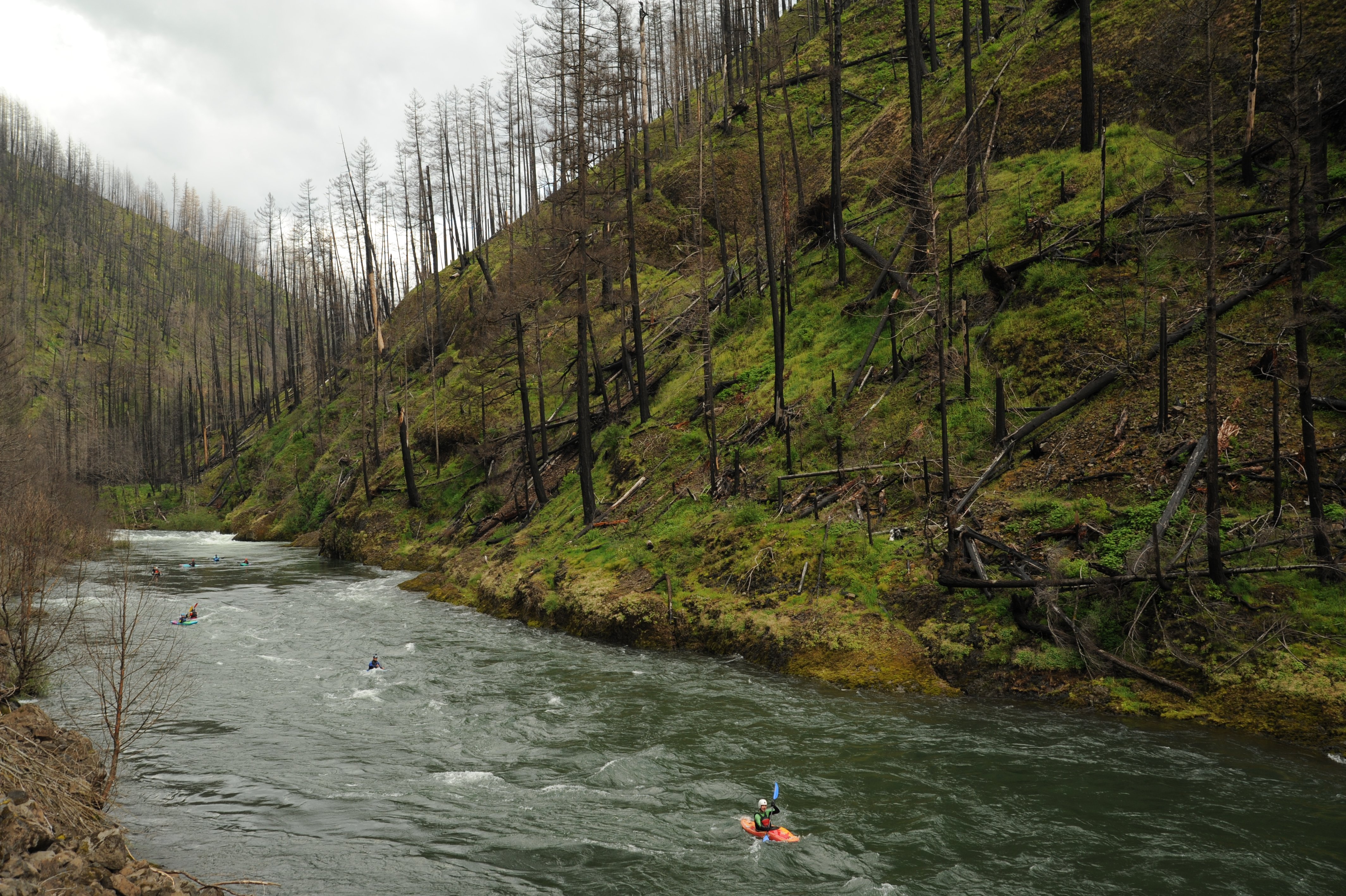 Image for Clackamas River Visioning Public Input Opportunity (OR)