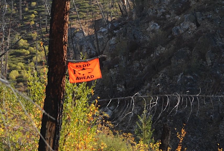 Image for Representative Simpson Proposes a Bold New Vision for the Snake River (WA/OR/ID)