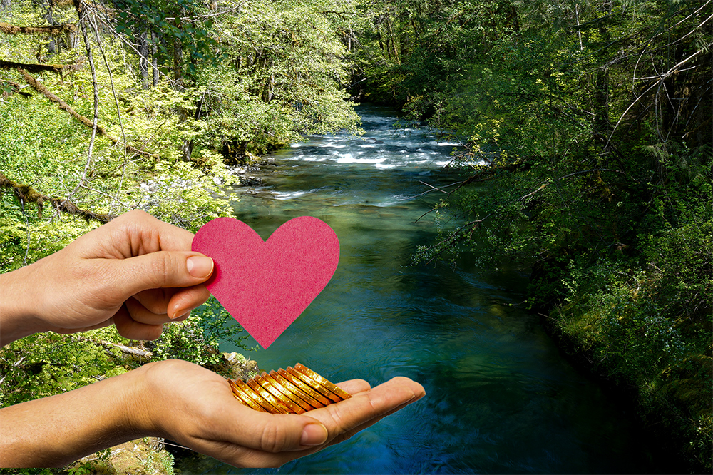 Image for Tax Smart Charitable Giving–Make the Most of the 2025 Rules