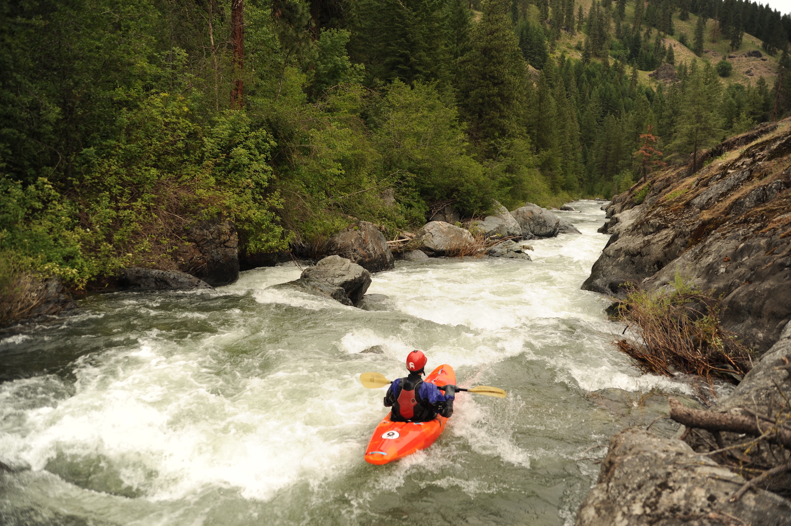 Image for Opportunity to Provide Input on Washington State Recreation Planning