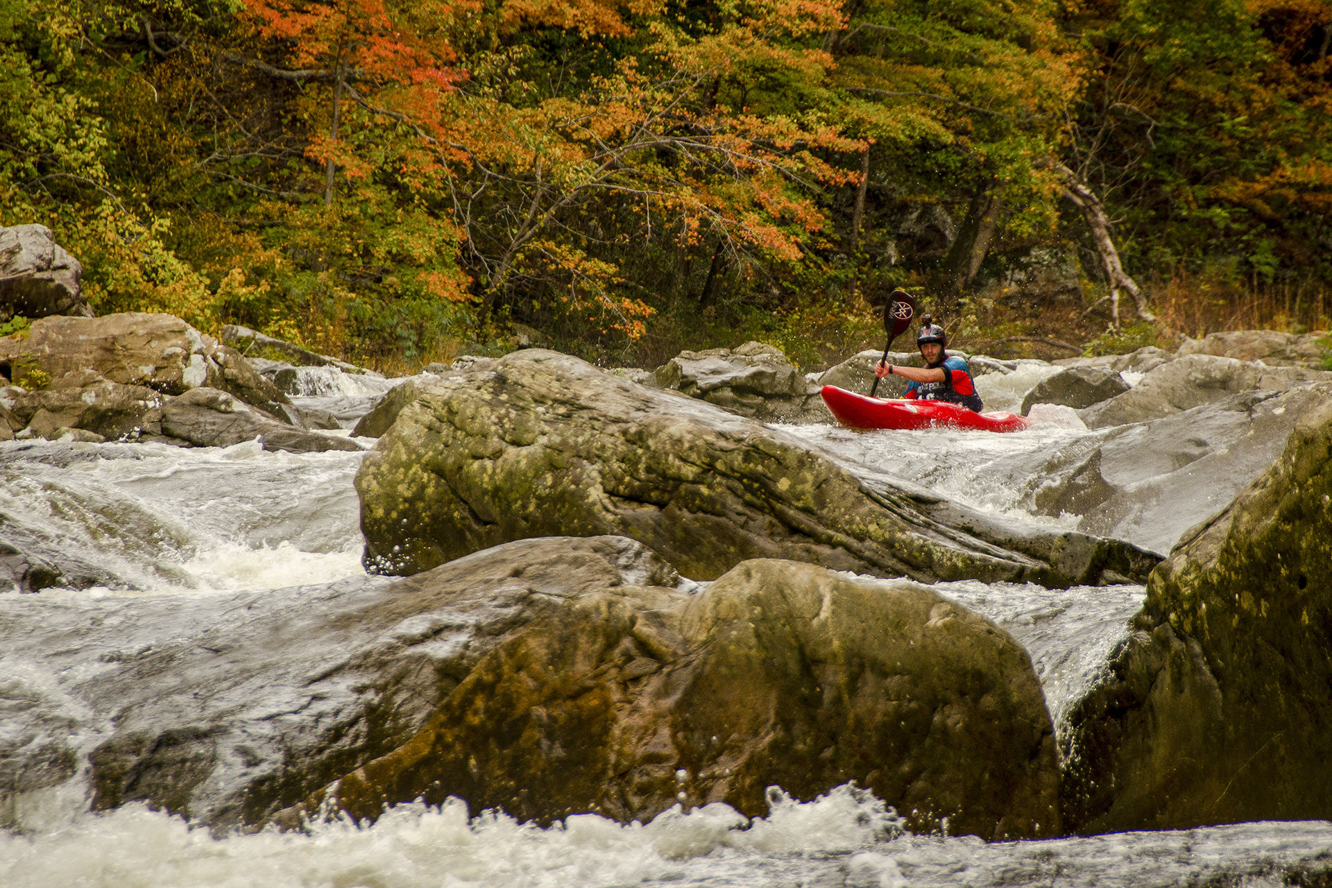 Image for Action Alert for the Russell Fork!!! Take Action today--comments due October 8th