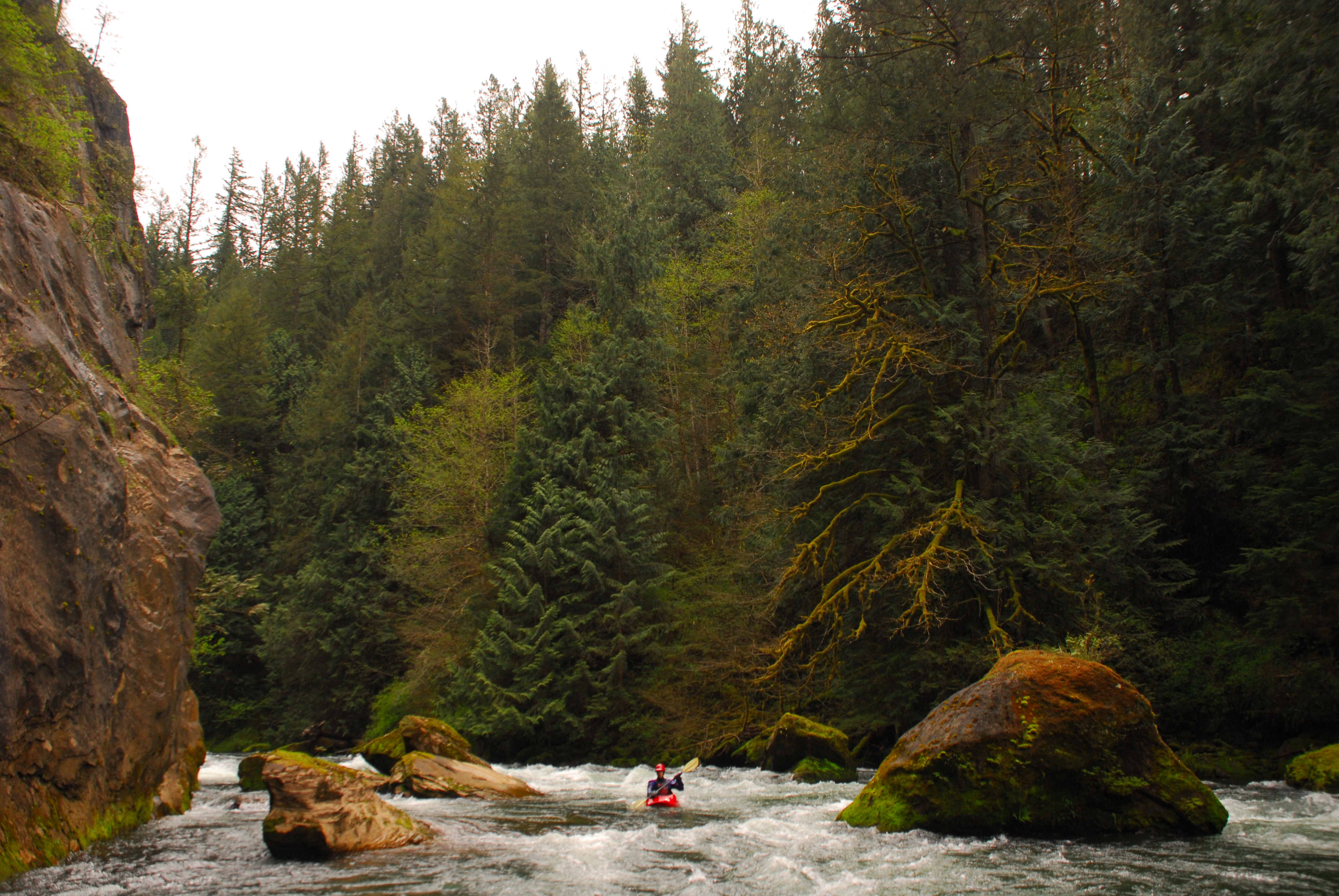 Kayaker paddling in the Green River Gorge.