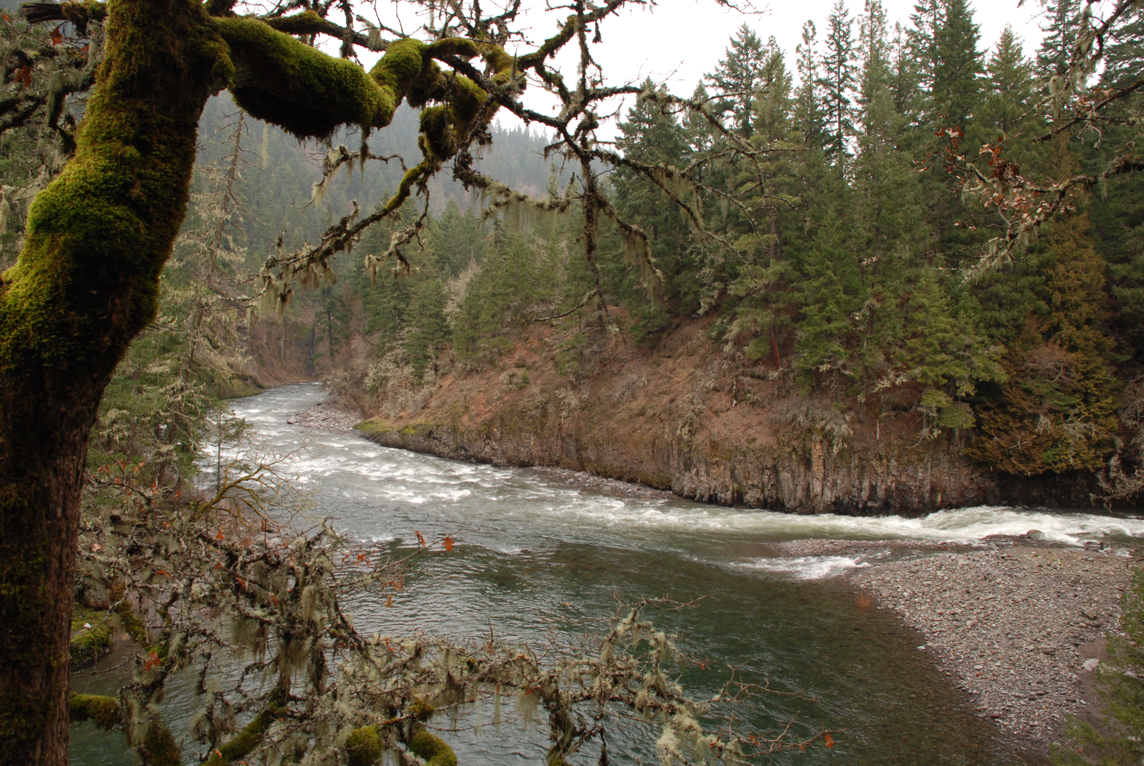 Confluence of the West Fork and East Fork Hood River.