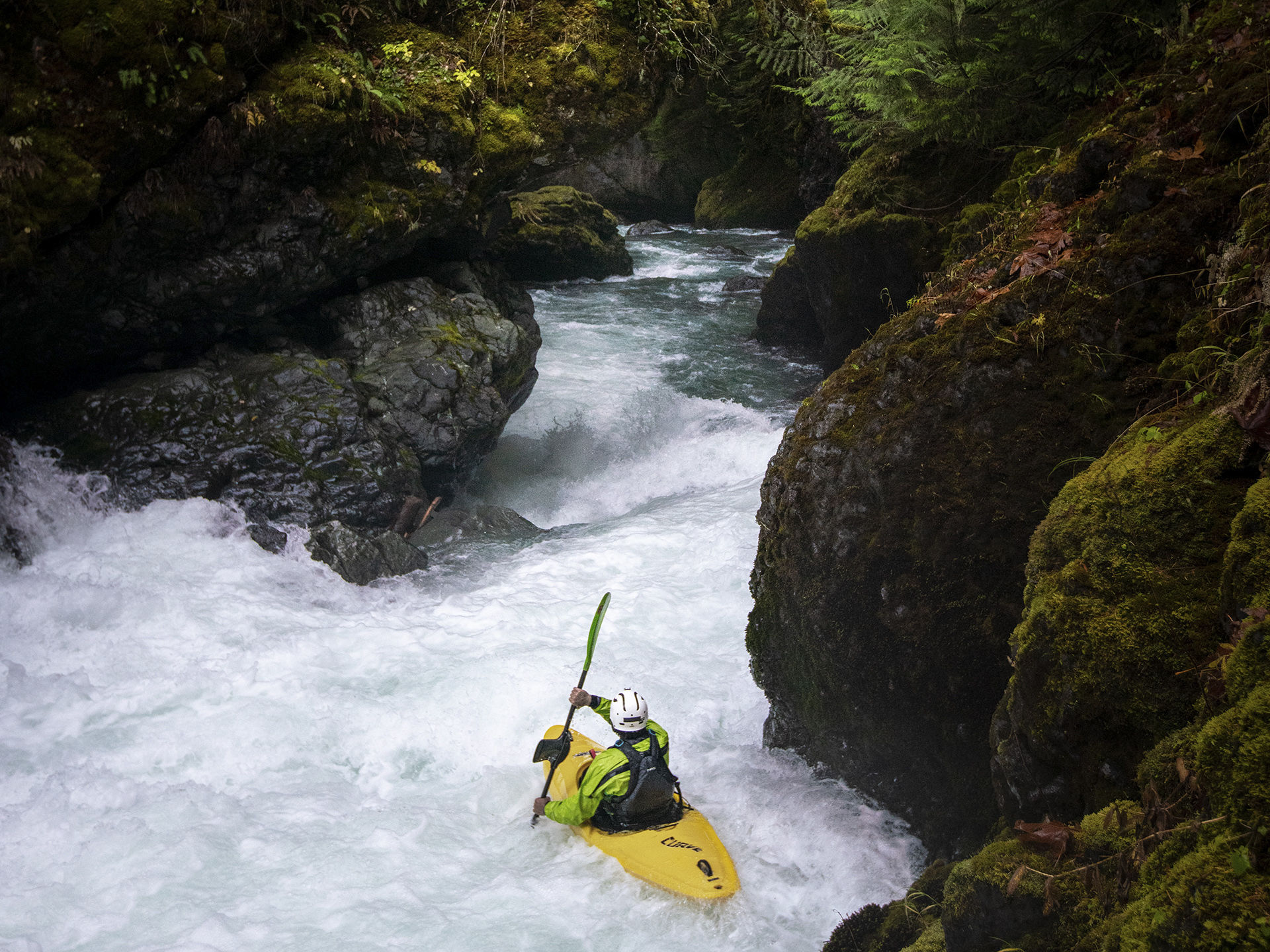 Image for Wild and Scenic Rivers Hill Week – A Virtual Success