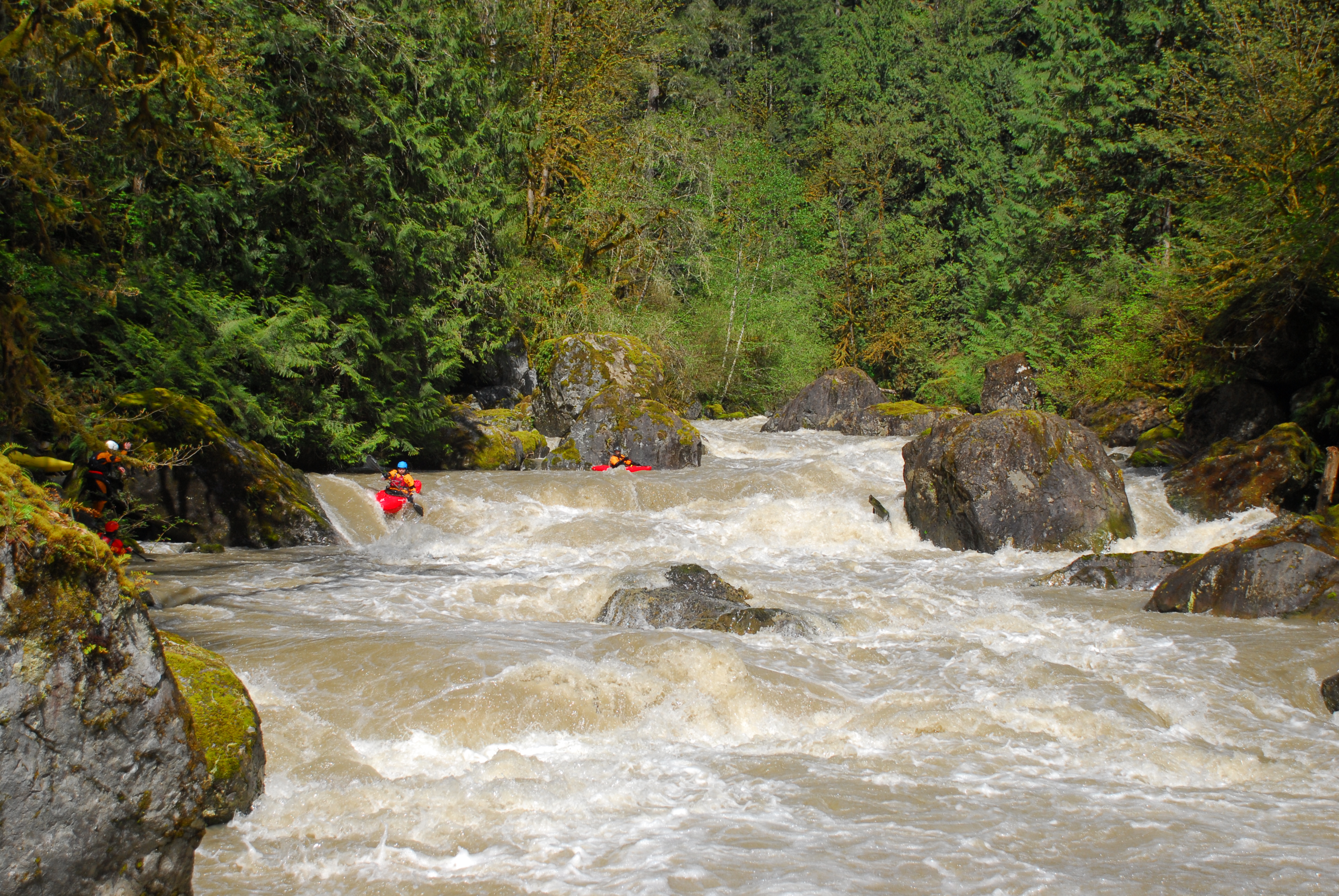 Kayaker on Last Nasty Rapid on the Sultan River.