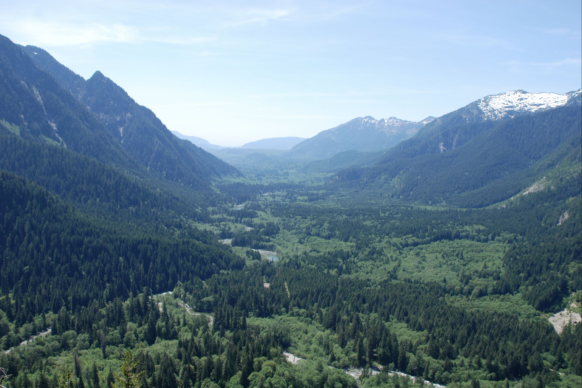 Image for Harlequin Duck Surveys on the Middle Fork Snoqualmie River (WA)
