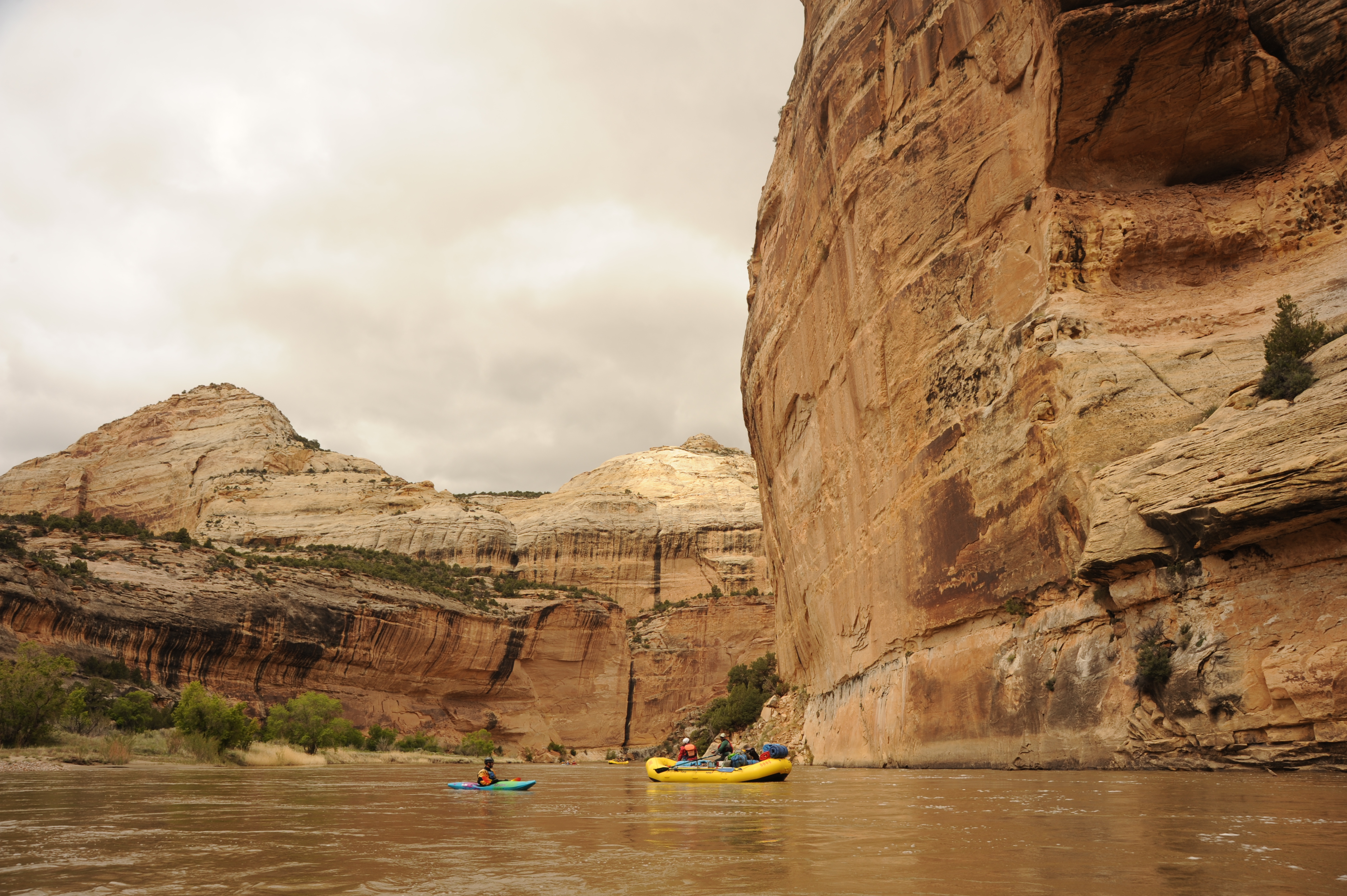 Floating through the canyons of the Yampa River.
