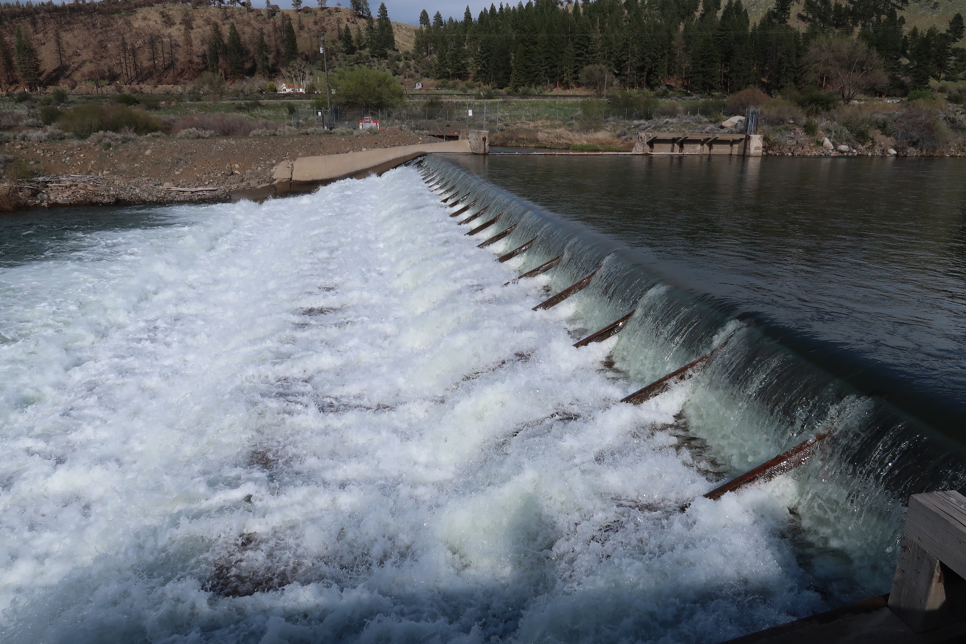 Image for American Whitewater Launches New Initiative to Remove Deadbeat Dams